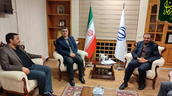 سطح کشت قراردادی گندم در کشور به ۷۰۰ هزار هکتار رسید