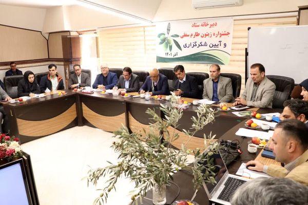 برنامههای تحقق چشم انداز توسعه زیتون در قزوین عملیاتی شده است
