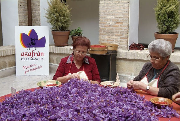 زعفران مزارع بازسازی شده اسپانیا به زودی روانه بازار جهانی می شود اهمیت زعفران کمتر از چاه های نفت