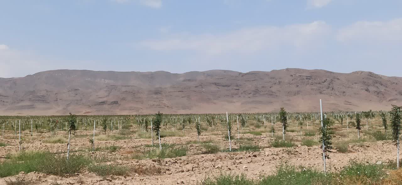 photo29313256319