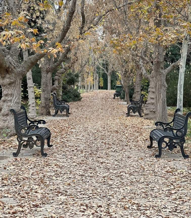 photo25962174197