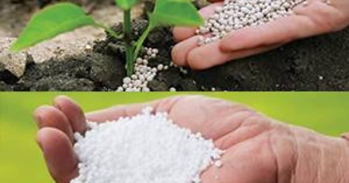 c0c050d5-e8a4-425d-a84b-50516b5cbbf4