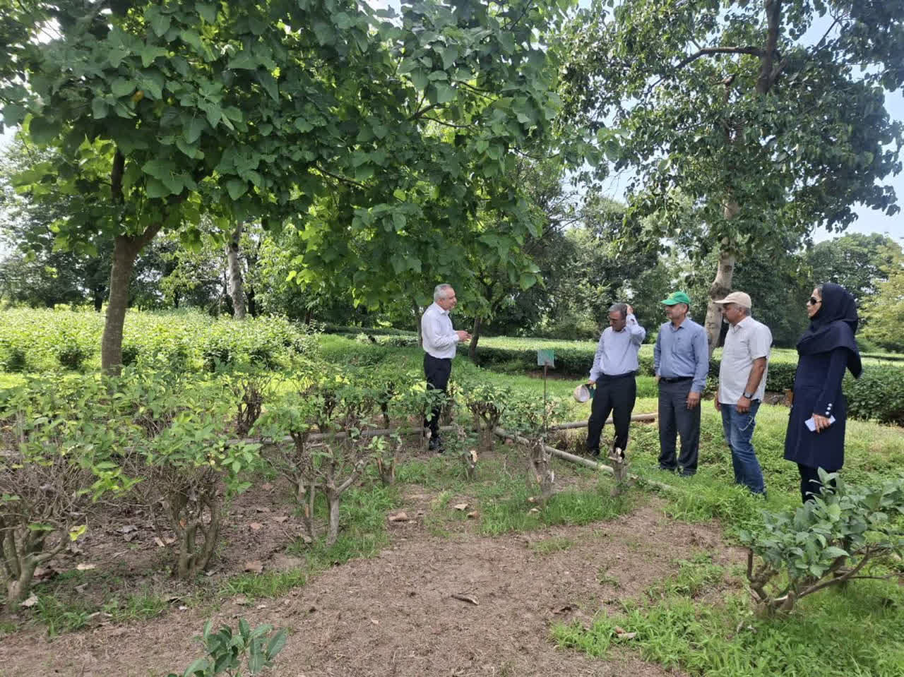 photo28491605893