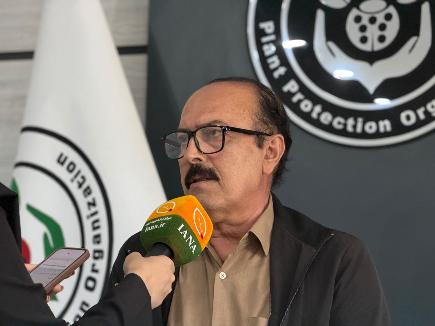 سعید معین