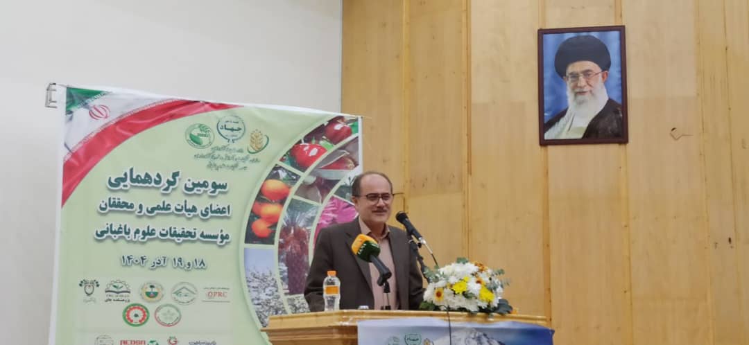 WhatsApp Image 2025-12-13 at 13.17.25