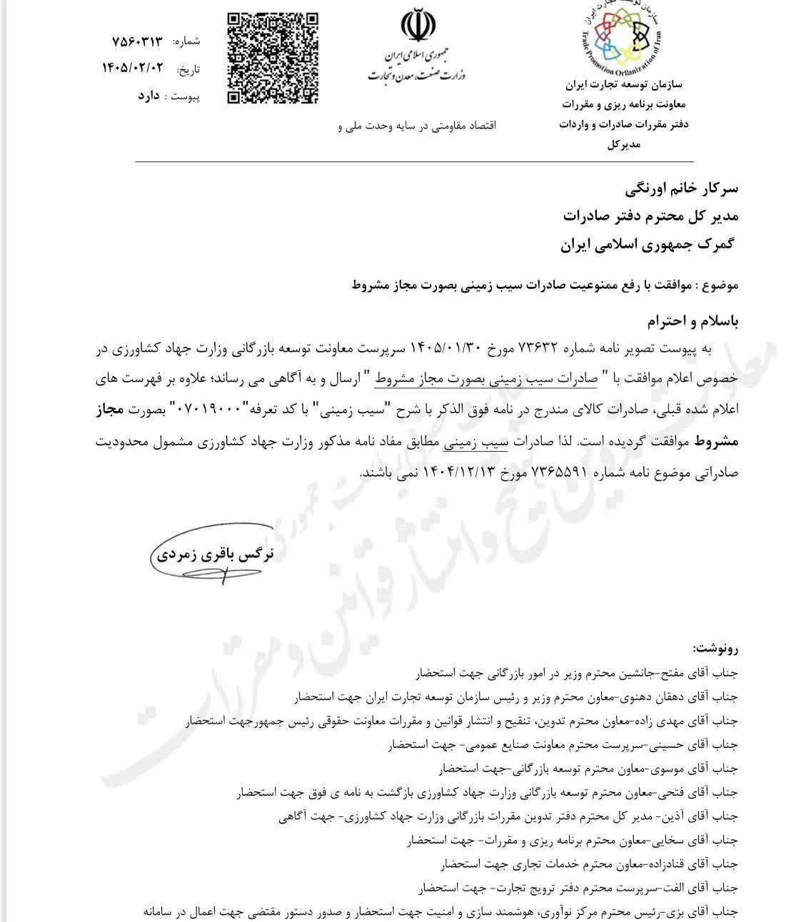 صادرات سیب زمینی