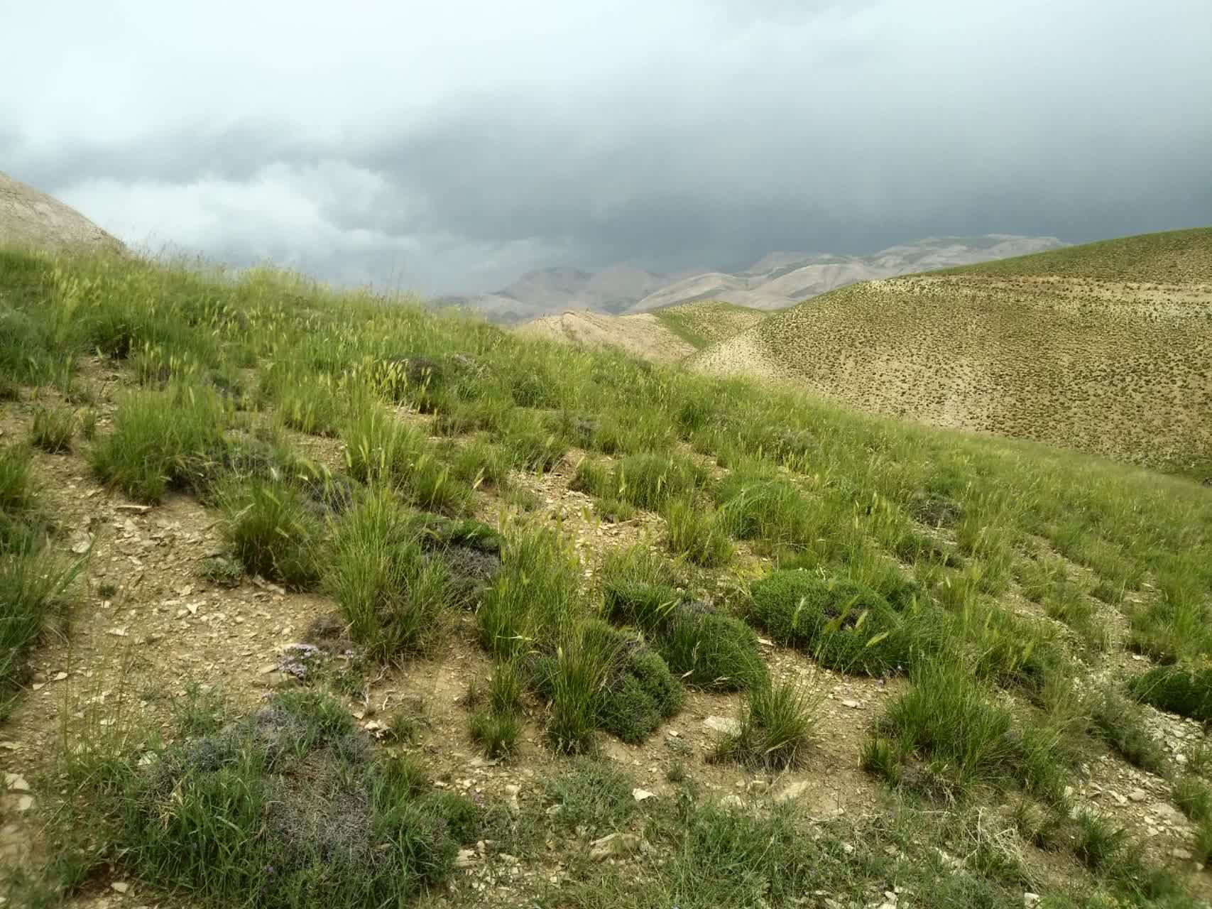 photo20264000351