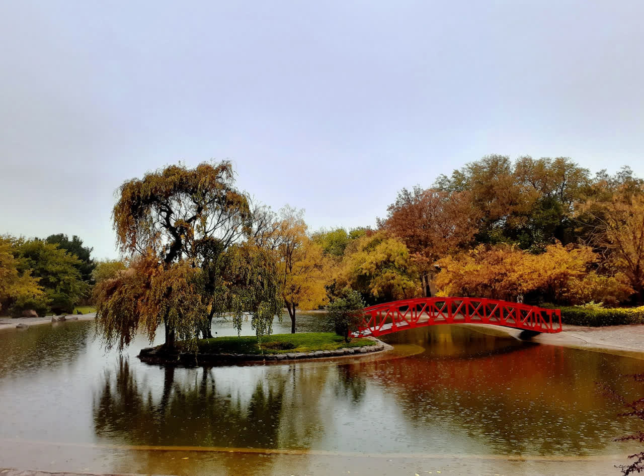 photo25962178774
