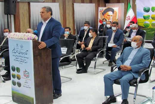 17500هکتار از اراضی دیم تبدیل به آبی شد