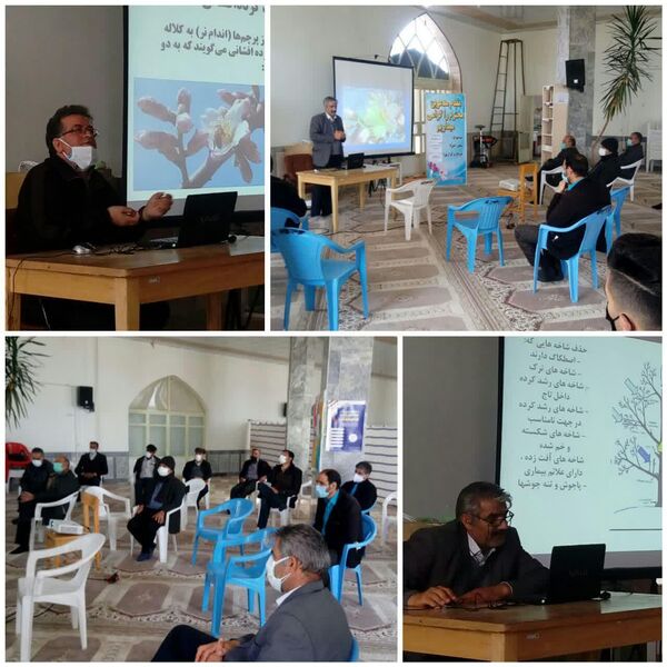 برگزاری کلاس آموزشی گرده افشانی و هرس درختان در شهر بن