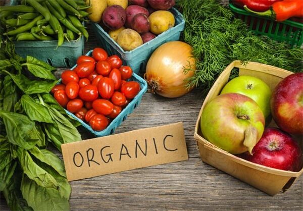  افزایش 50درصدی محصولات باغی با تغذیه تلفیقی