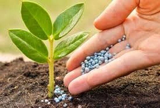 تولید کودهای فسفاته کشور به ۳۰۰ هزار تن افزایش می‌یابد