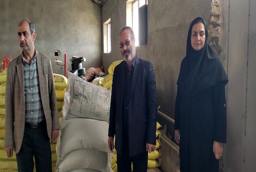 توزیع 1224 تُن کود شیمیایی به‌منظور کشت پاییزه در بین کشاورزان شهرستان مرند