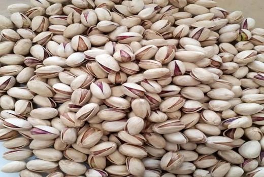 اولین ترمینال فرآوری پسته در فیروزآباد به بهره‌برداری رسید