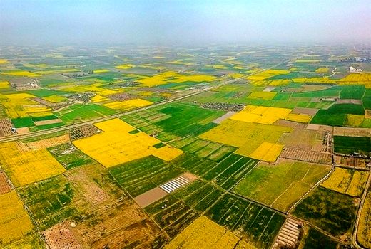  بیش از پنج هزار پرونده اراضی قزوین در سامانه سحاک بررسی شد