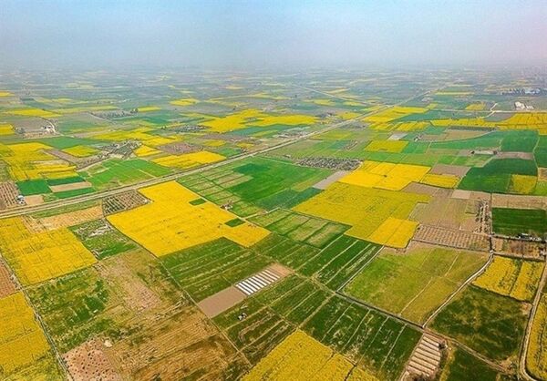  بیش از پنج هزار پرونده اراضی قزوین در سامانه سحاک بررسی شد