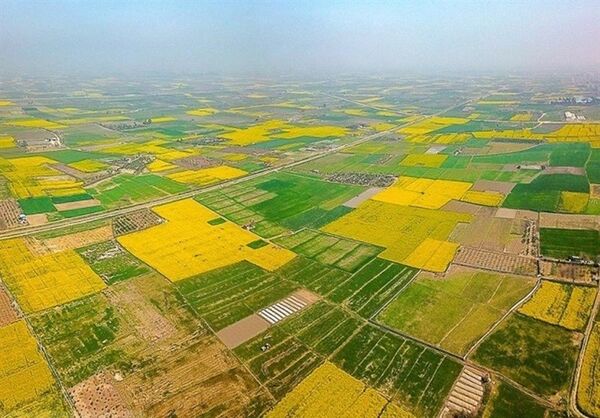 نظارت مستمر بر مجوزهای حفظ کاربری اراضی کشاورزی؛ گامی در مسیر توسعه پایدار