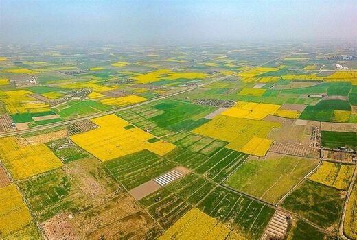  بیش از پنج هزار پرونده اراضی قزوین در سامانه سحاک بررسی شد