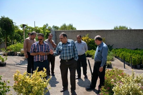 تولید گلخانه‌ای محصولات باغی و معرفی ارقام جدید ضروری است