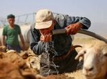 آب‌رسانی به مناطق عشایری استان با ۲۰ تانکر
