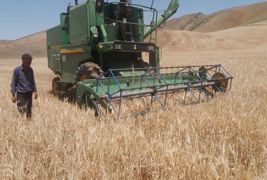 آغاز برداشت محصول گندم و جو در مزارع شهرستان کلیبـر
