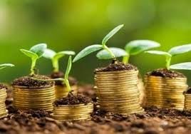 رشد 25 درصدی سطح بیمه محصولات زراعی شهرستان تهران 