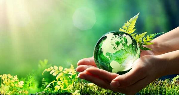 الزام پیوست‌های زیست‌محیطی؛ چراغ راه توسعه پایدار در ایران 