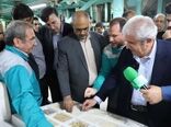 تولید 2.5 میلیون تن برنج سفید در دولت سیزدهم/ افزایش 10 درصدی درجه مکانیزاسیون کاشت و برداشت برنج