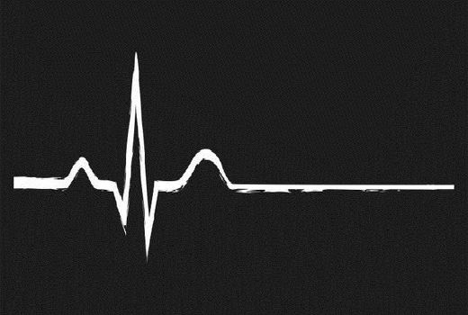 مارگزیدگی دام‌ها باعث مرگ انسان نمی‌شود