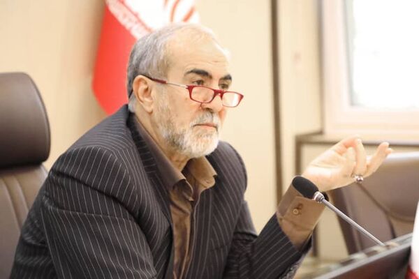 تلاش برای نجات شمشادهای جنگل های شمال 