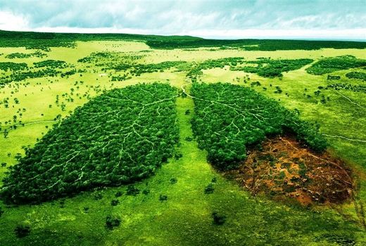 بزرگداشت هفته محیط زیست با بهره گیری از فضای مجازی 