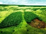 بزرگداشت هفته محیط زیست با بهره گیری از فضای مجازی 