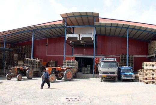 1 میلیون تن ظرفیت سردخانه‌ای آذربایجان شرقی افزایش می‌یابد