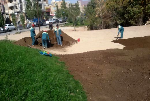 ممنوعیت چمن‌کاری در تهران فقط روی کاغذ