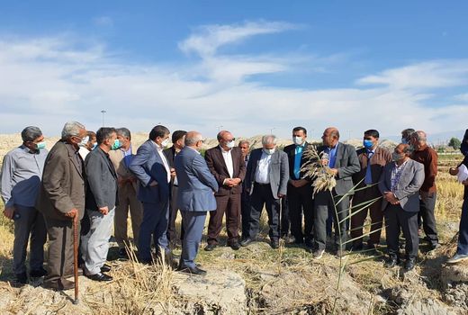 تجهیز 16 هزار هکتار از اراضی باغملک و ایذه در فاز دوم طرح 550 هزار هکتاری خوزستان