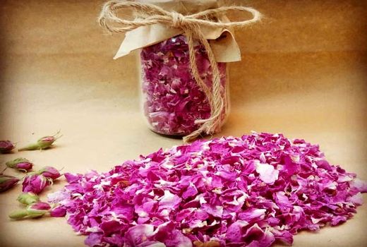 زیرساخت‌های مورد نیاز برای برندسازی در صنعت کشاورزی