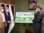اختصاص "دامدار کارت" برای تامین هزینه‌های دامداران روستایی و عشایر