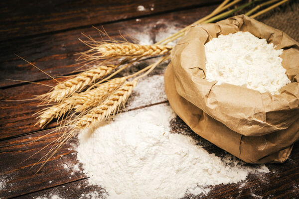 قیمت‌گذاری دستوری گندم صنف و صنعت سبب هدر رفت منابع ملی است