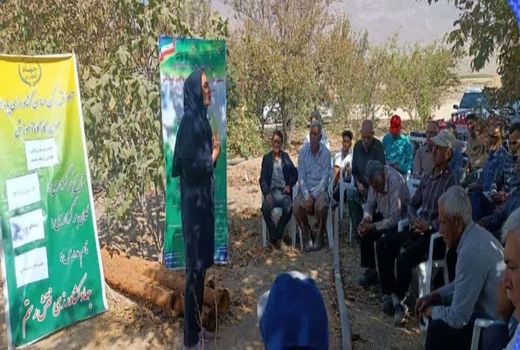 ارائه آموزش‌های ترویجی به 315 کشاورز در مرودشت