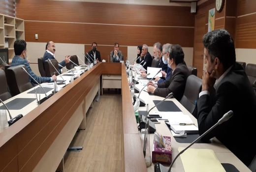 تامین خرمای مورد نیاز رقم مضافتی بم با کیفیت مطلوب و استاندارد