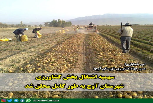 سهمیه اشتغال بخش کشاورزی شهرستان آوج به طور کامل محقق شد
