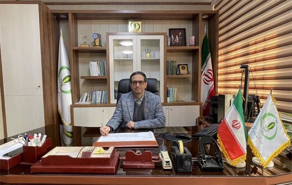 تشخیص سریع بیماری گوجه فرنگی