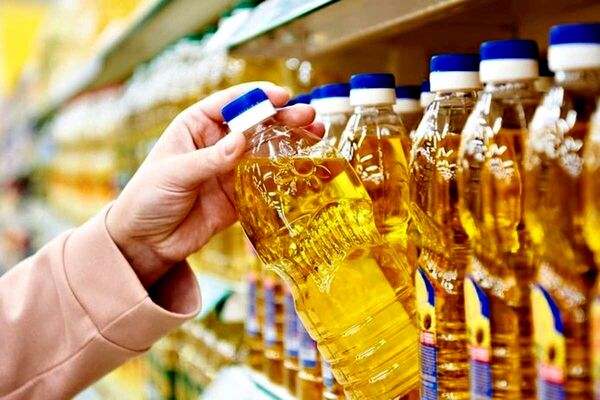 آینده تولید روغن خوراکی در ایران؛ وابستگی امروز، فرصت‌های فردا