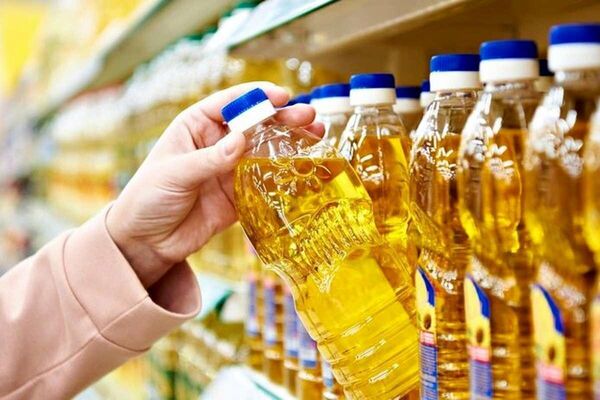 آینده تولید روغن خوراکی در ایران؛ وابستگی امروز، فرصت‌های فردا