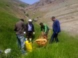 پایش مزارع وکنترل و مبارزه با ملخ بومی البرز 