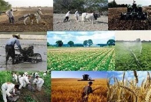 افتتاح ۴ طرح تولیدی و خدماتی جهاد کشاورزی با اعتباری بالغ بر ۵۰۰ میلیون در شهرستان املش