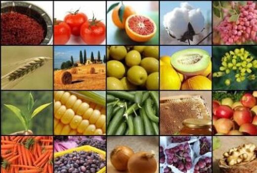 صادرات یک هزار میلیاردی محصولات باغی مازندران