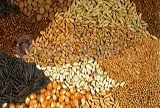 بسیج کشاورزی افزایش بهره وری را دنبال می کند 