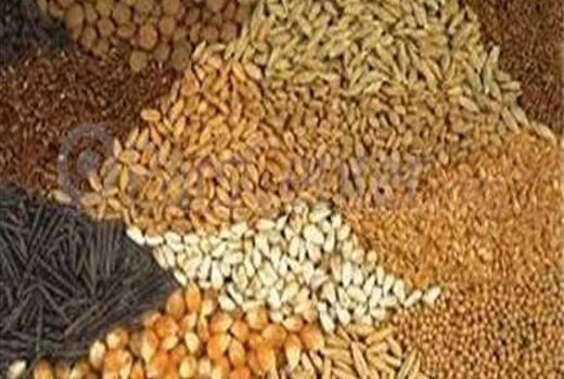 بسیج کشاورزی افزایش بهره وری را دنبال می کند 