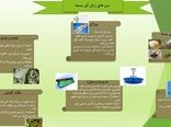 سن زیان  آور در باغات پسته استان قزوین  